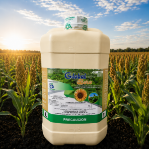 GLOBAL BORO – Llenado de Calidad de Grano
