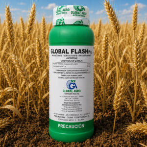 GLOBAL FLASH PLUS