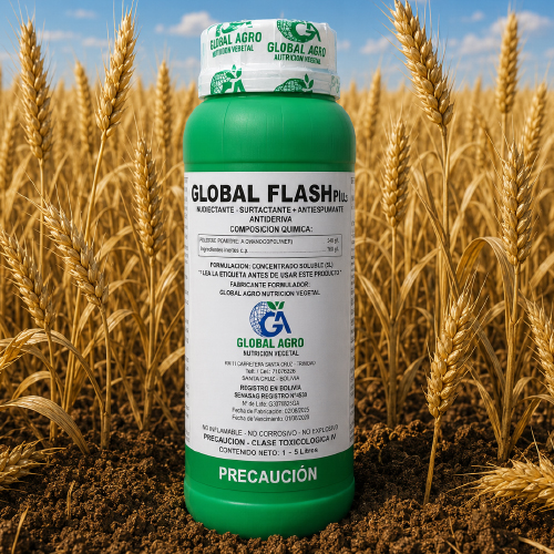GLOBAL FLASH PLUS